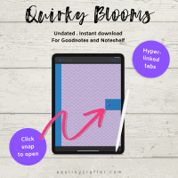 QB Digital Planner1